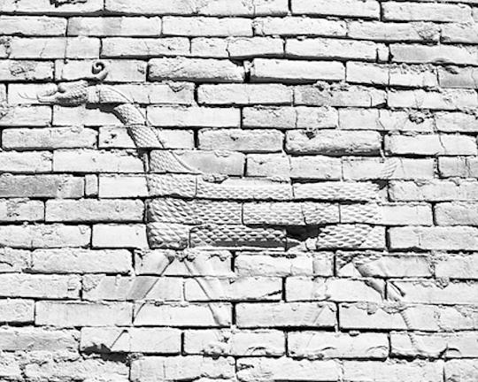 《J-N-N》电影封面