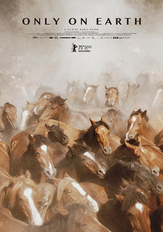 《夏日烈焰》纪录片封面