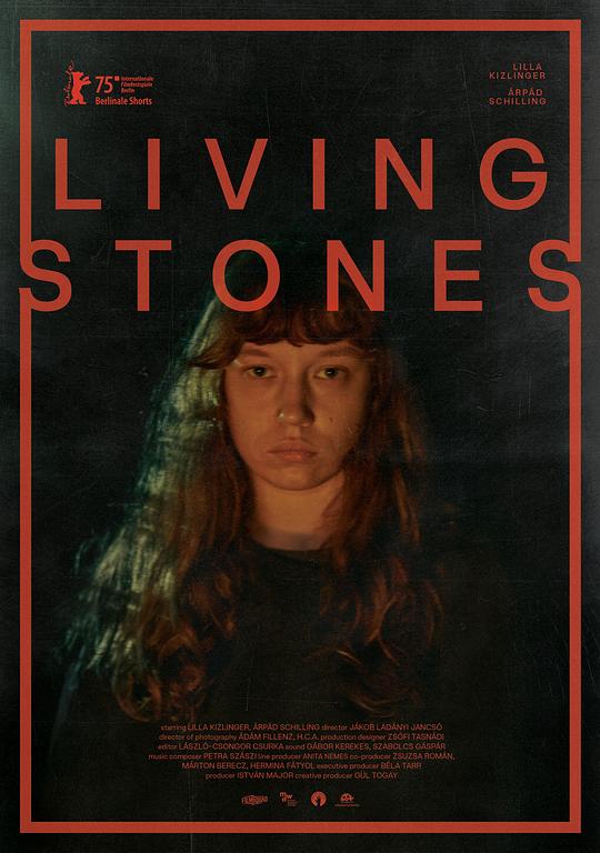 《活石》电影封面