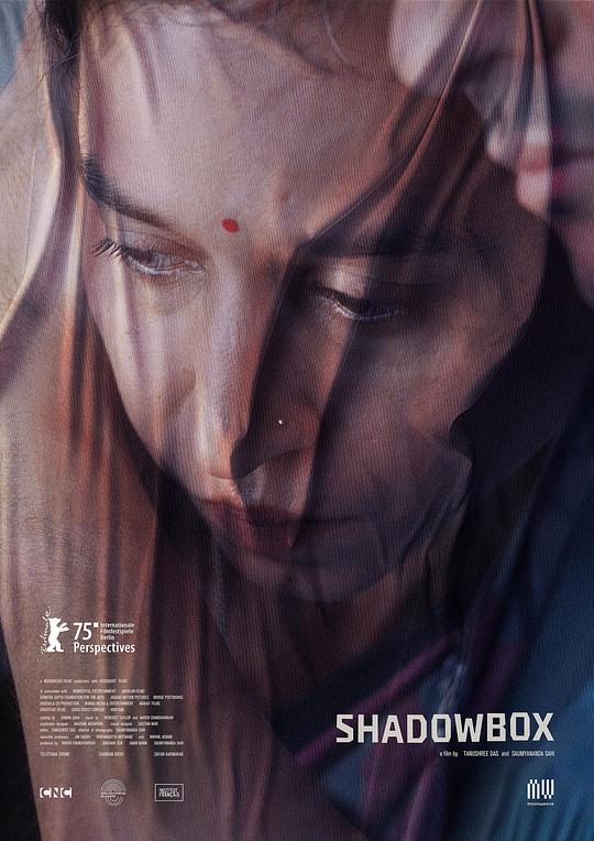 《假想敌》电影封面