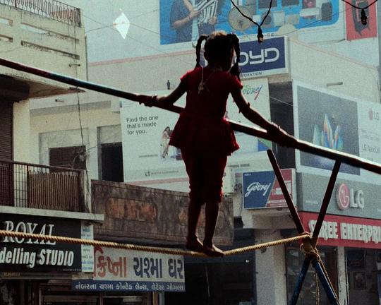 《I am grass》纪录片封面