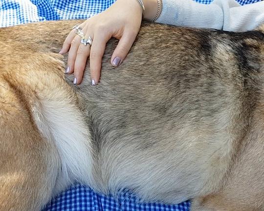 《Writing Poems at the End of the World》纪录片封面