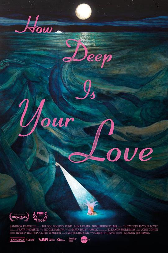 《How Deep Is Your Love》纪录片封面