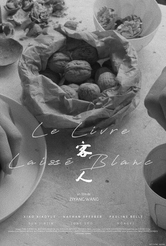 《客人》电影封面