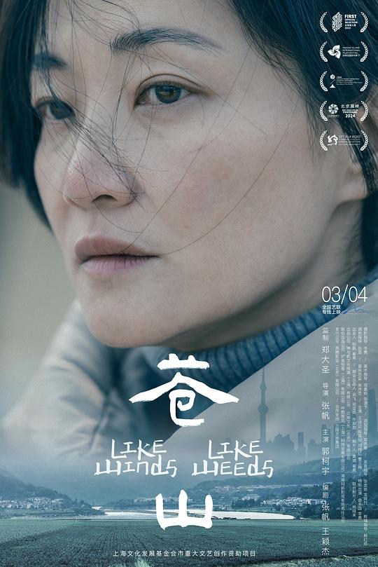 《苍山》电影封面