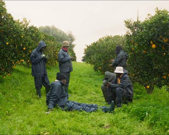 《Arance Amare》纪录片封面