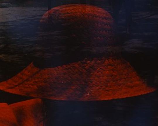 《Songs Overheard in the Shadows》电影封面