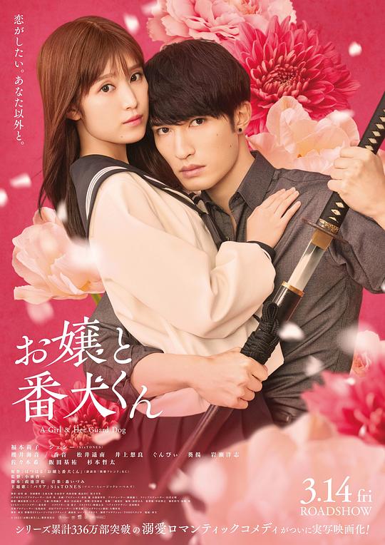 《大小姐和看门犬》电影封面