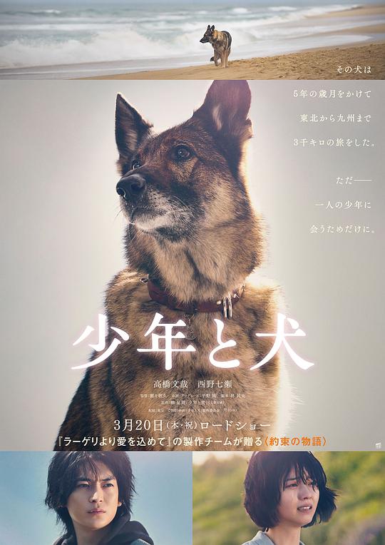 《少年与犬》电影封面