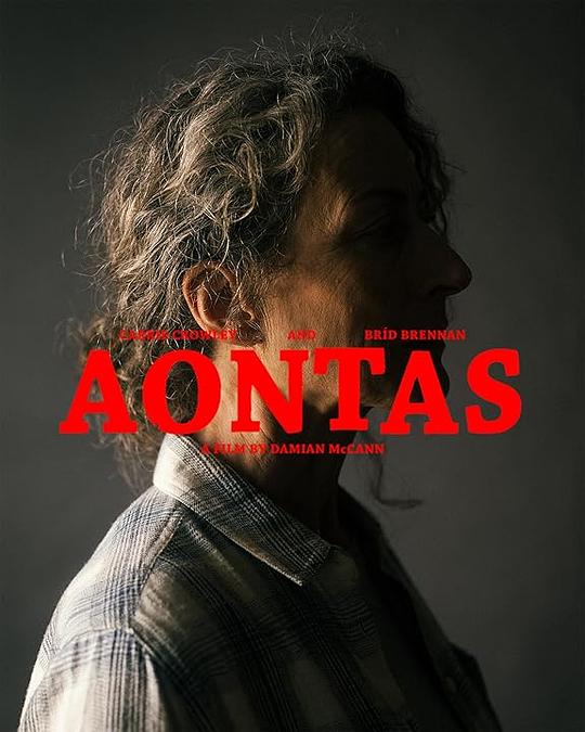 《挫败的人生劫案》电影封面