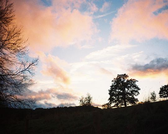 《First Panic》电影封面