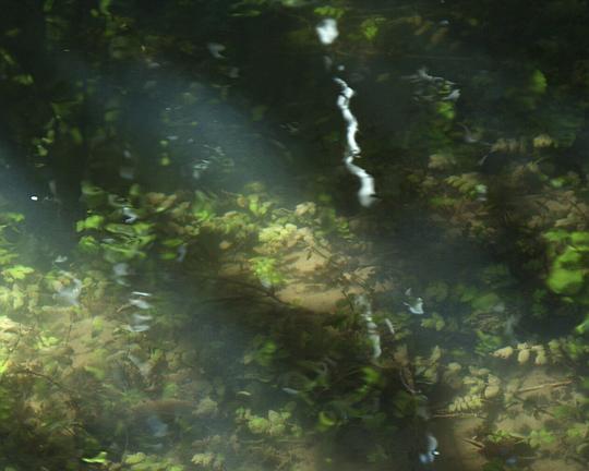 《A Teardrop long film》电影封面