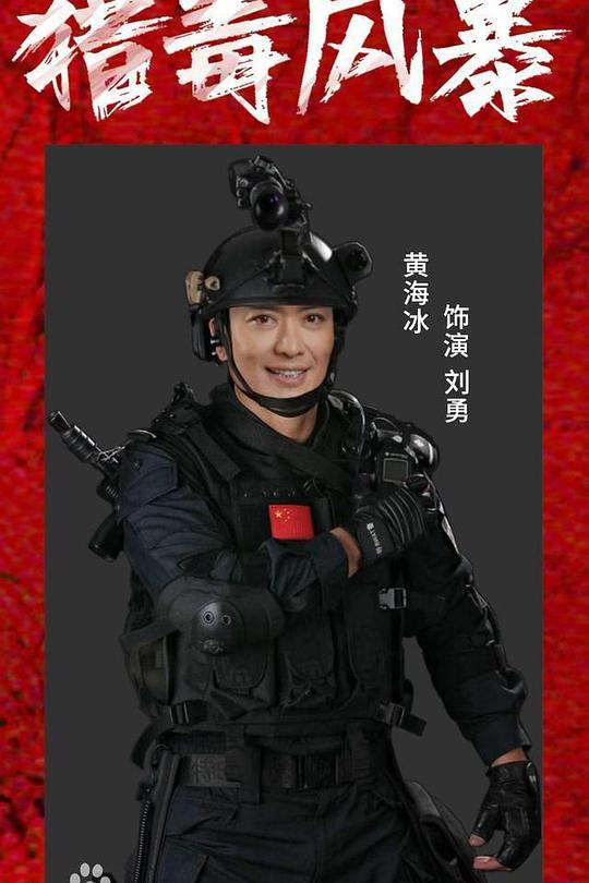 《猎毒风暴》电影封面