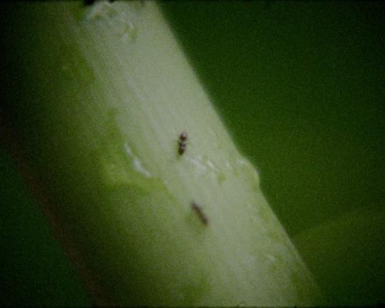 《where》电影封面