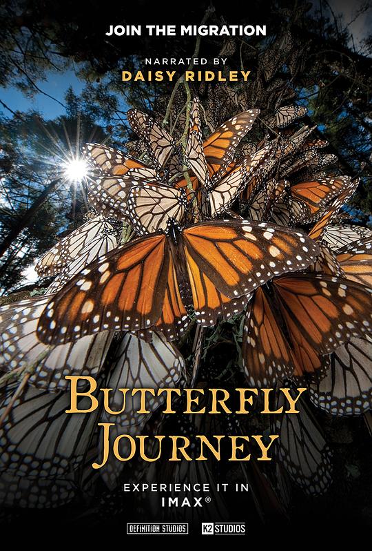 《蝴蝶之旅》纪录片封面