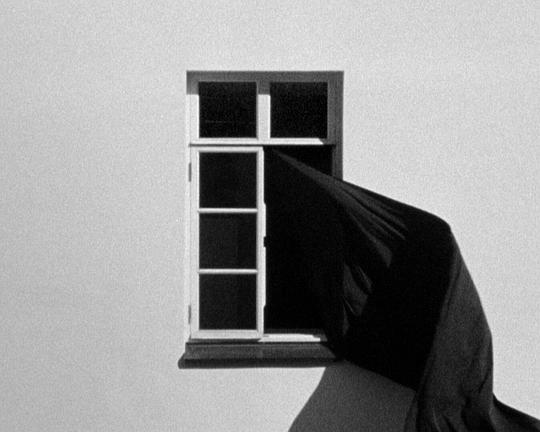 《Blossoming Ones》电影封面