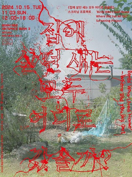 《栖家之鸟今在何方》纪录片封面