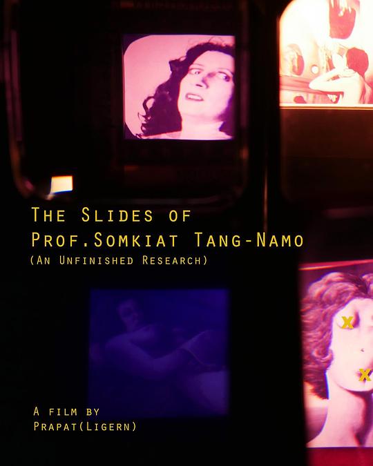 《The Slides of Prof. Somkiat Tang-Namo》电影封面