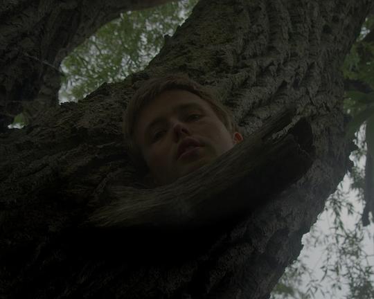 《Piccin Gemellone》电影封面