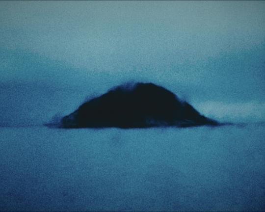 《在你所見的世界之中》电影封面