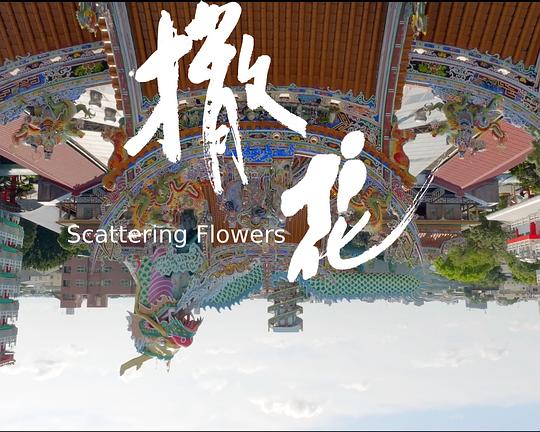 《撒花》电影封面