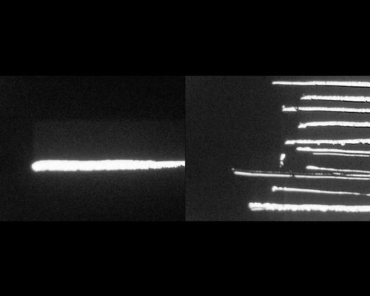 《Photosynthesis part 1》电影封面