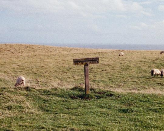 《Notes From Brook House》电影封面