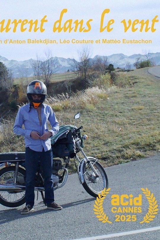 《风中的洛朗》电影封面