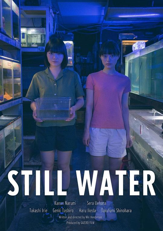 《静水》电影封面