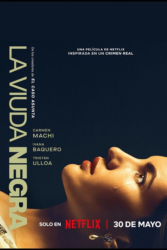 《寡妇游戏》电影封面