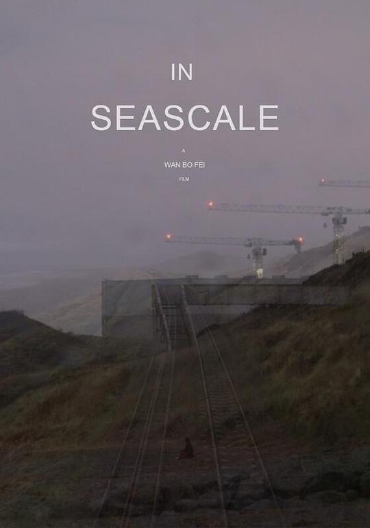 《在锡斯凯尔》纪录片封面