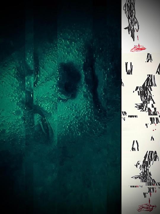 《三狼》电影封面