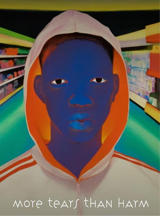 《More Tears Than Harm》电影封面