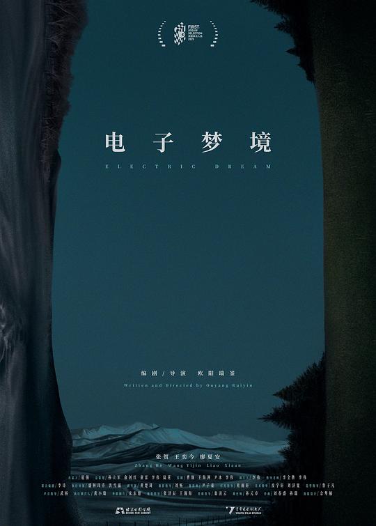 《电子梦境》电影封面