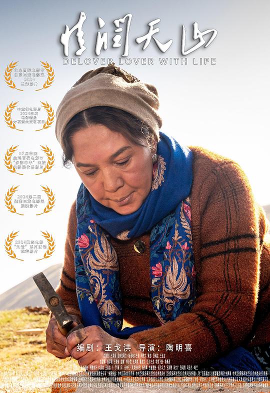 《情润天山》电影封面