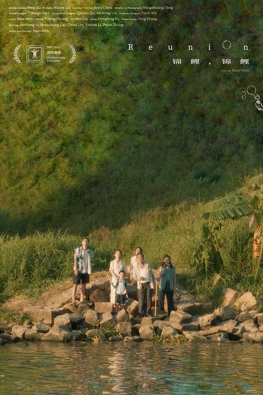 《锦鲤，锦鲤》电影封面