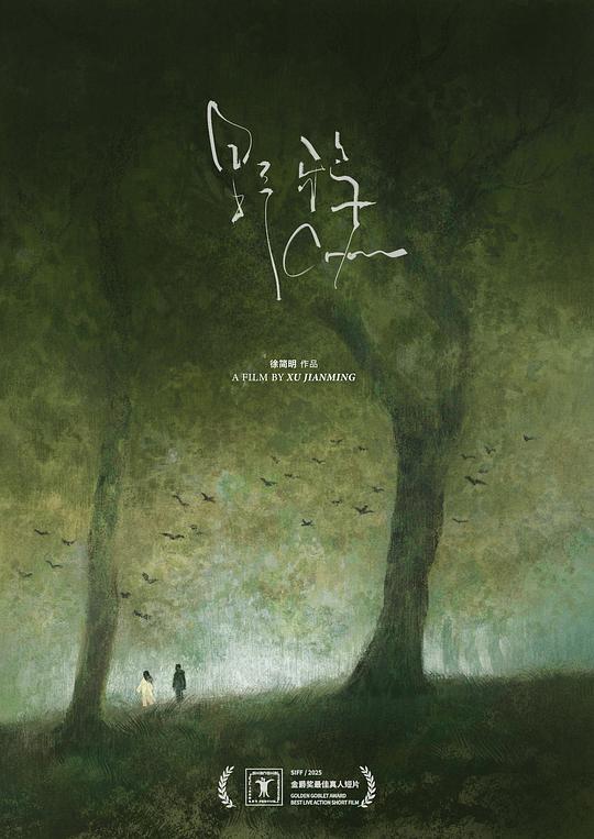 《野鸦》电影封面