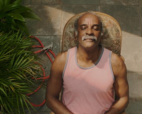 《Girassóis》电影封面