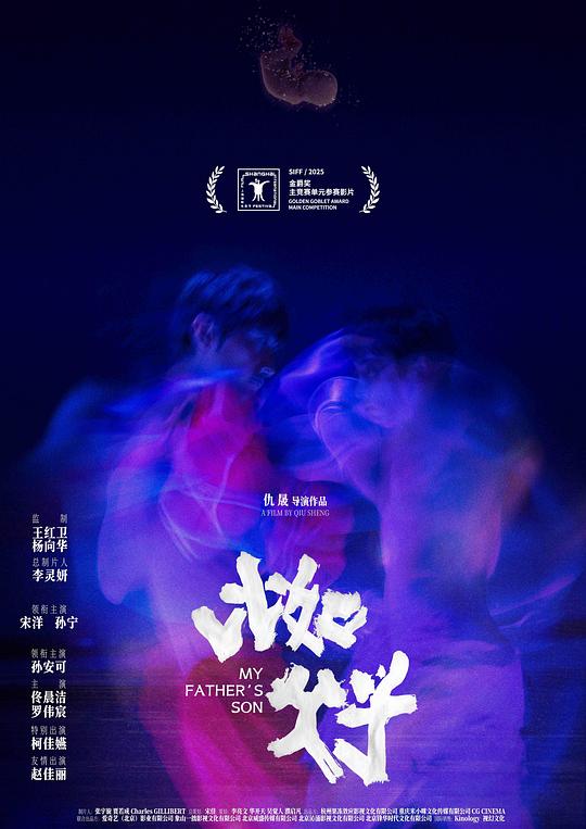 《比如父子》电影封面