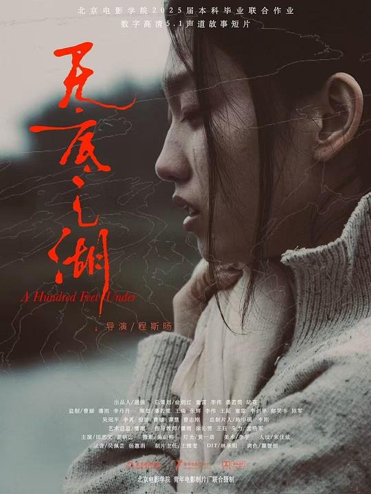 《无底之湖》电影封面