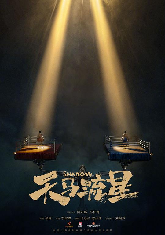 《天马流星》电影封面