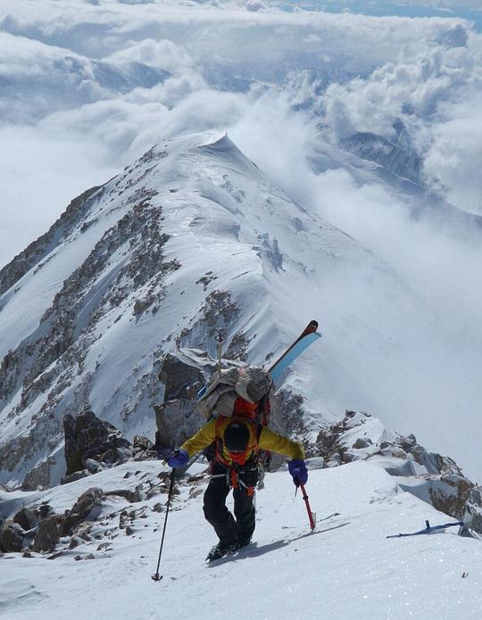 《狂野阿拉斯加》电影封面