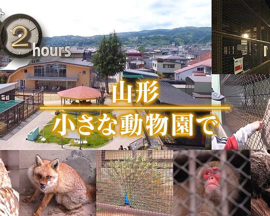 《ドキュメント72時間:山形 小さな動物園で》纪录片封面