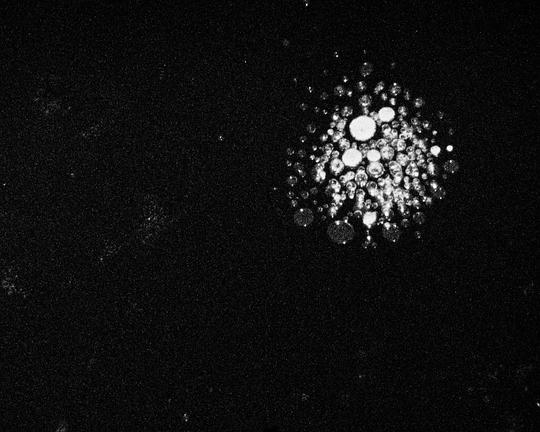 《夜坠之地》电影封面