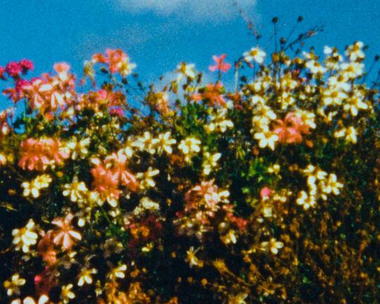 《I Saw the Face of God in the Jet Wash》电影封面