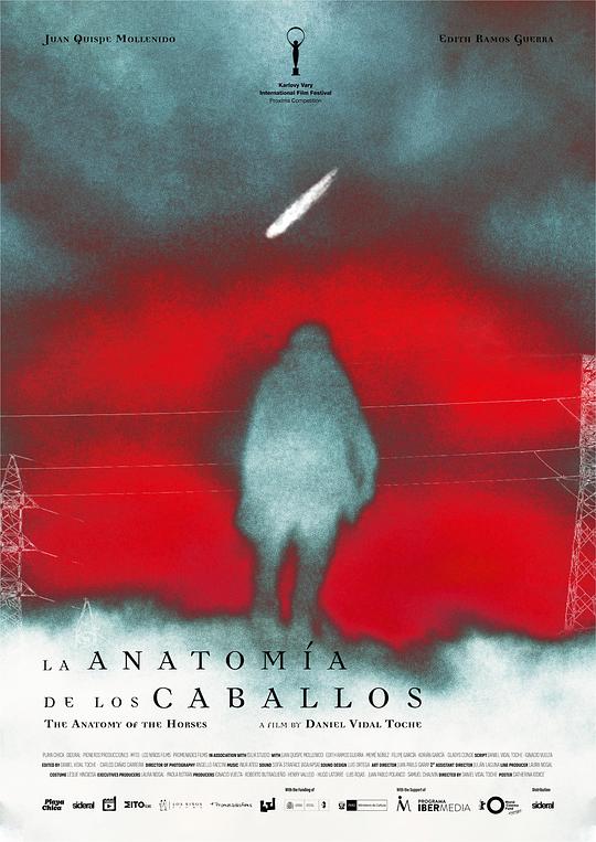 《马的解剖学》电影封面