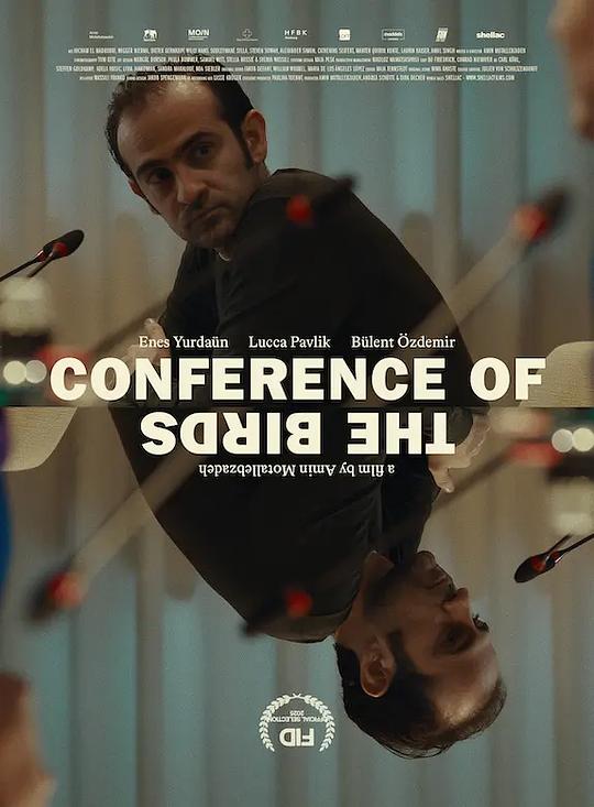 《坠鸟会议》电影封面