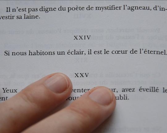 《栖电者》纪录片封面