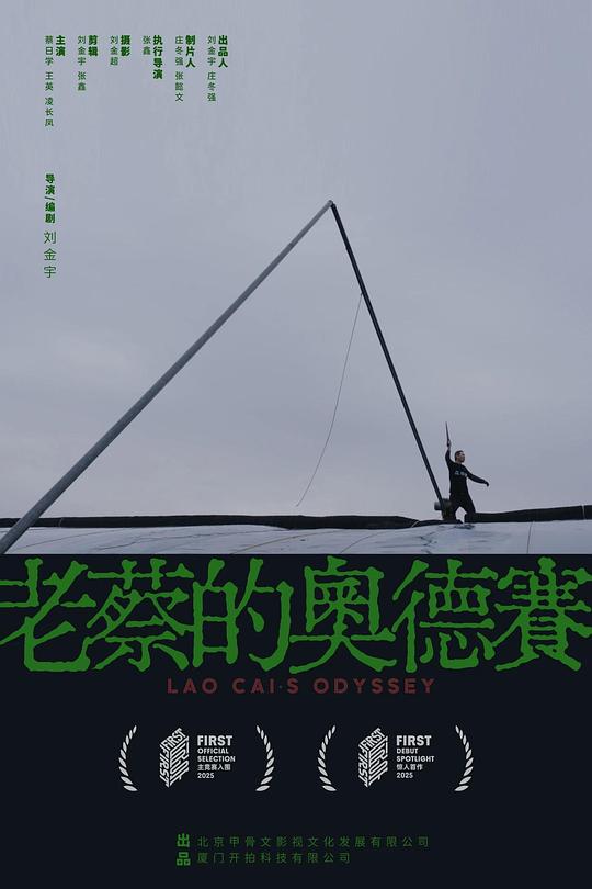 《老蔡的奥德赛》电影封面