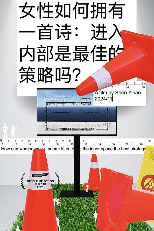 《女性如何拥有一首诗: 进入内部是最佳的策略吗?》电影封面
